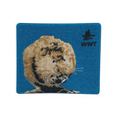 Embroidery bird patches