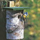 Birch log nest box 32mm