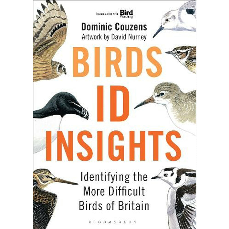 Bird ID Insights