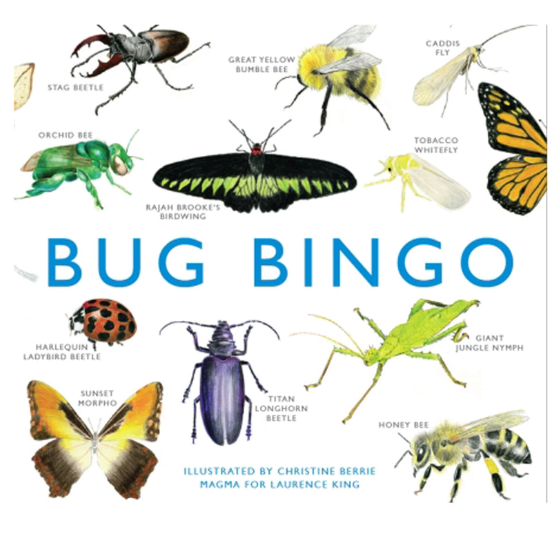 Bug Bingo board game