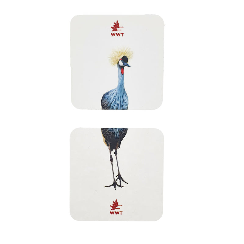 Crowned crane coaster