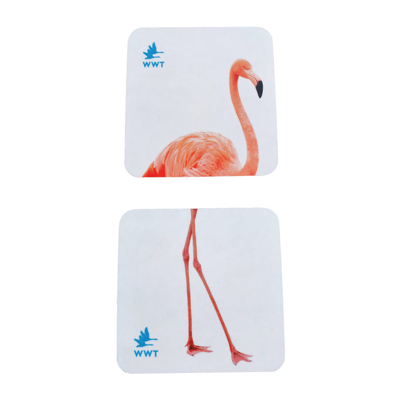 Flamingo coaster