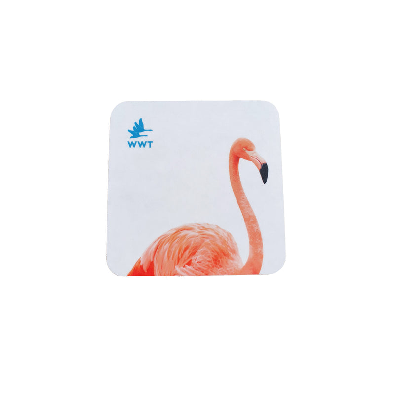 Flamingo coaster