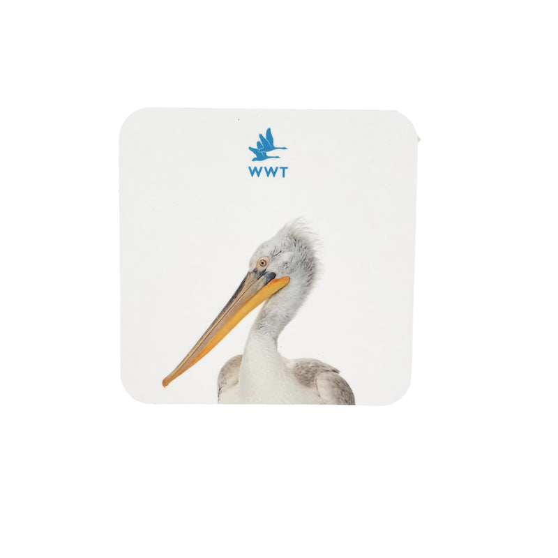 Pelican coaster