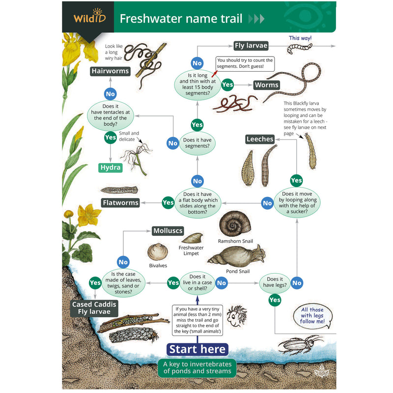 Freshwater name trail