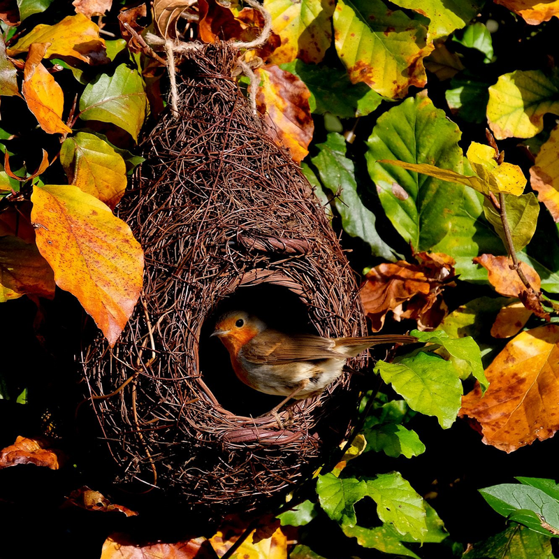 Giant robin nest pocket