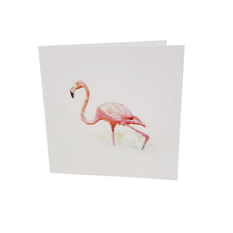 Greater flamingo watercolour art card