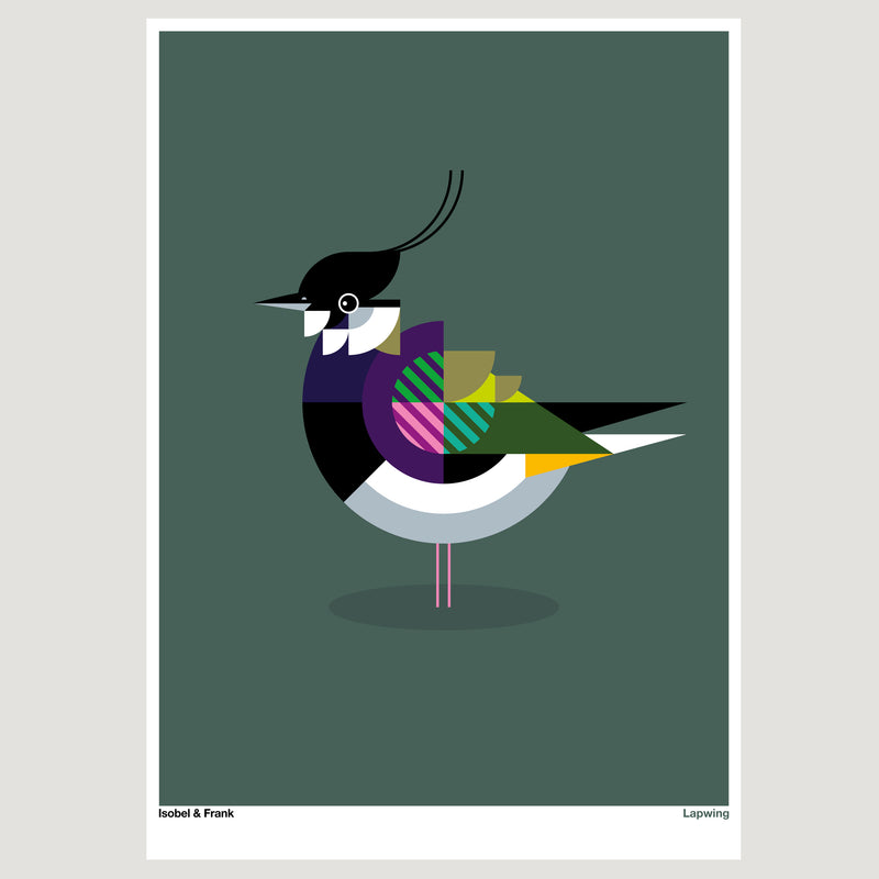 Lapwing print - Isobel & Frank