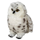 Snowy owl