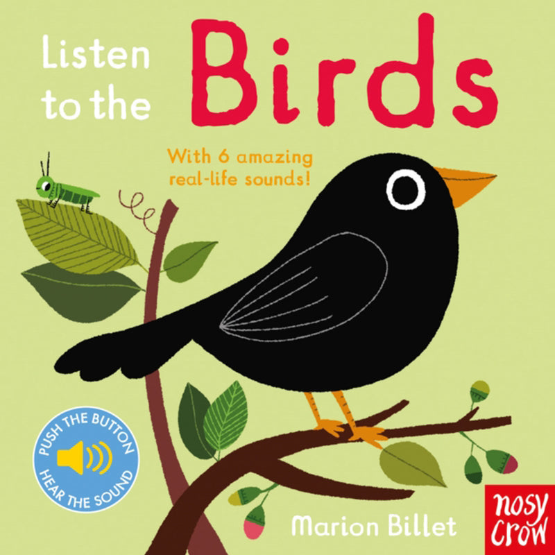 Listen to the Birds BB