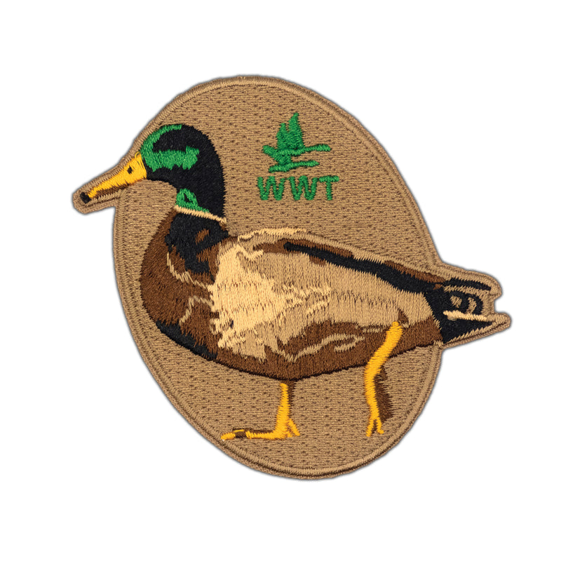 Embroidery bird patches
