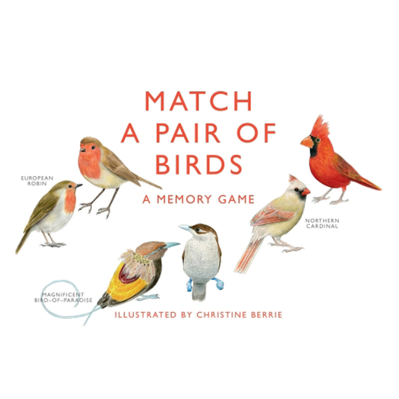 Match a pair of birds matching game