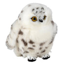 Snowy owl