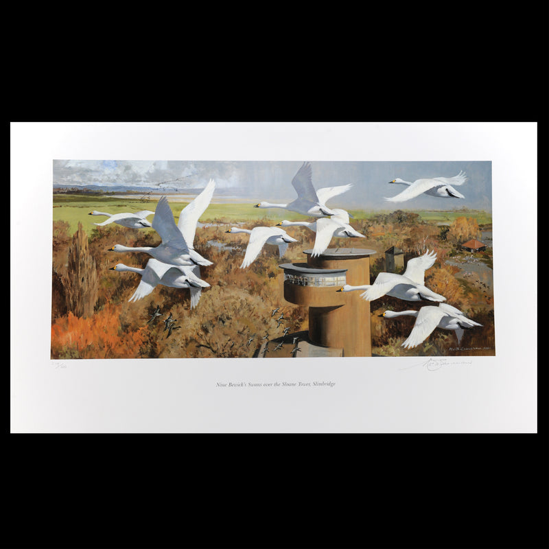 Nine Bewick's Swans over the Sloane Tower print