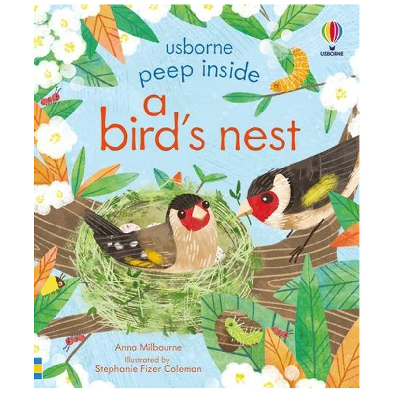 Peep Inside a Bird's Nest BB