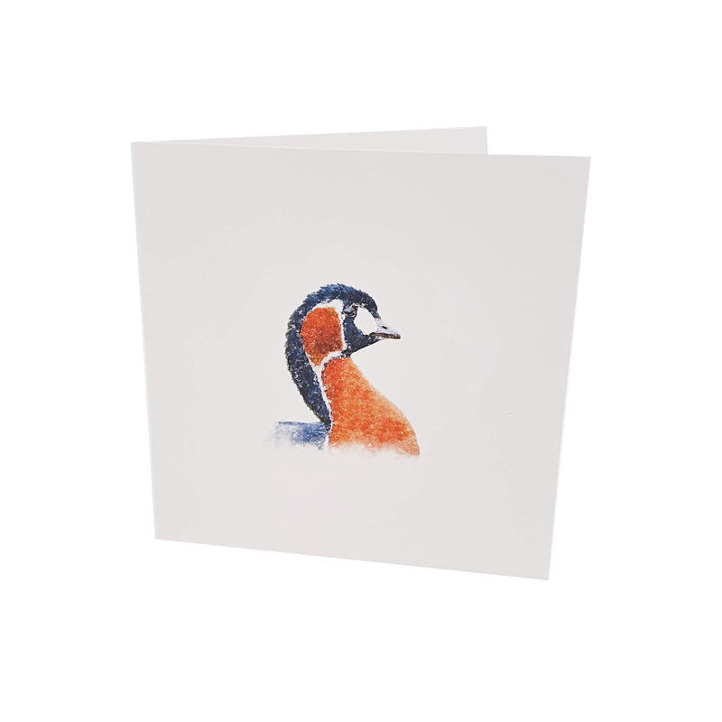 Red-breasted goose watercolour art card