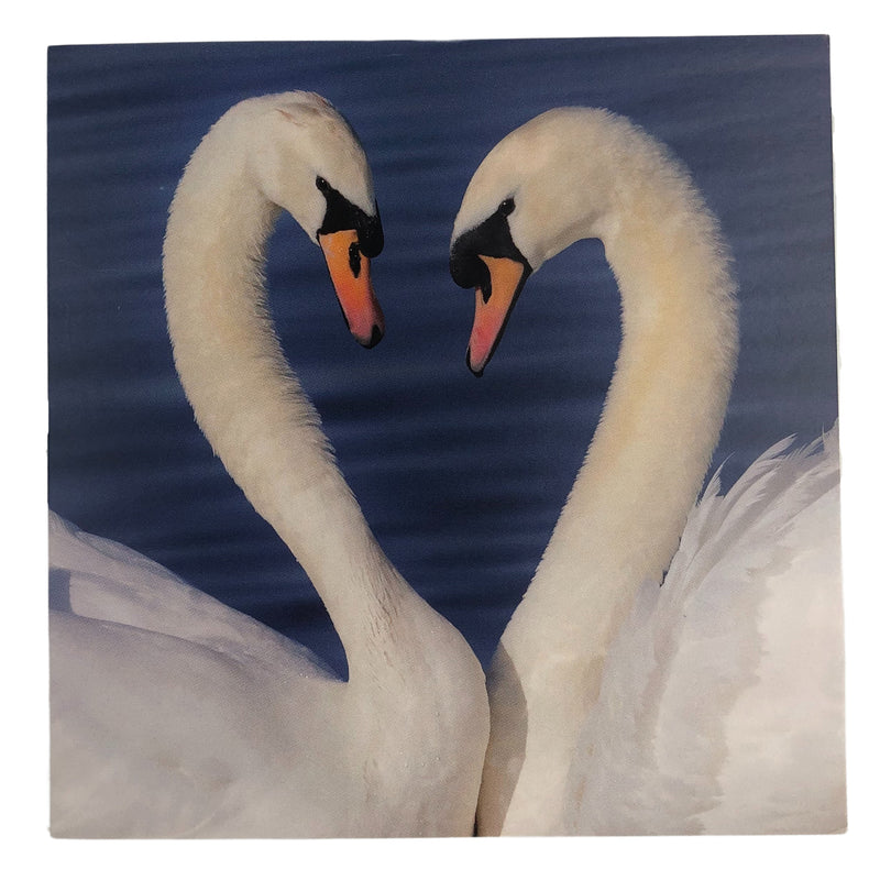 Swan heart greeting card