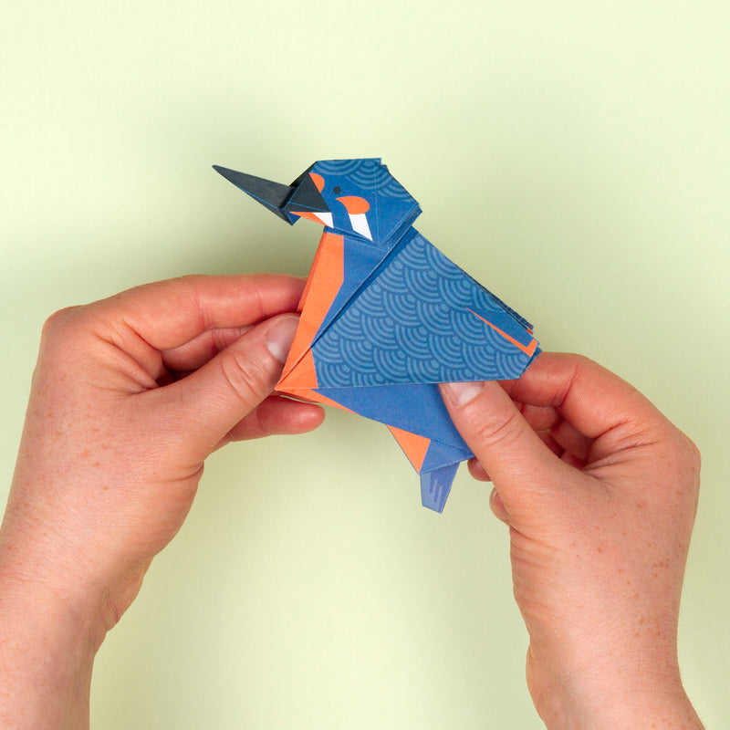 Wetland wildlife origami