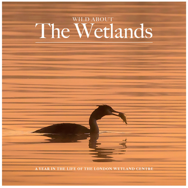 Wild about the Wetlands
