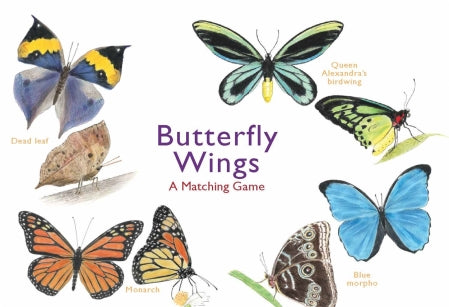 Butterfly wings matching game 