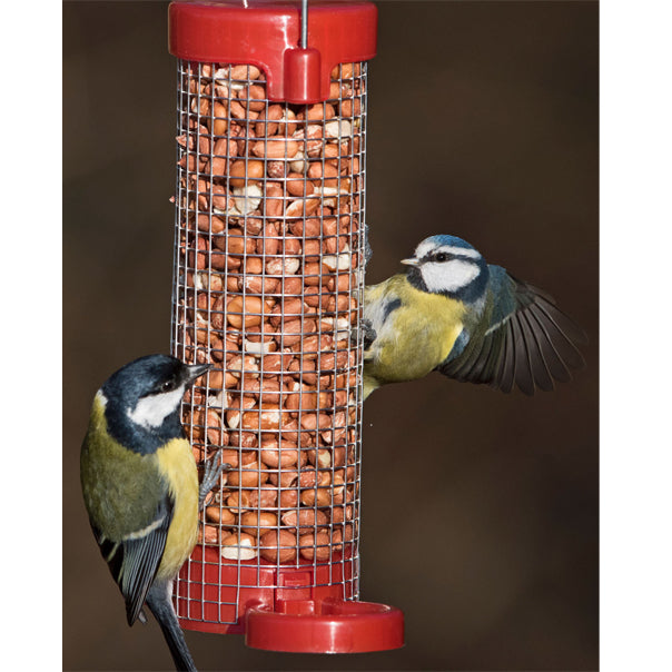 Get Set Go!™ Peanut Feeder