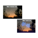 Window alert decals